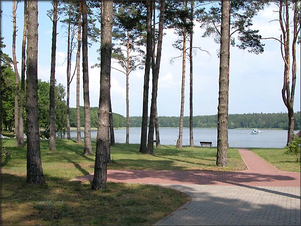 Photo-Ferienpark-Ellbogensee-Seeblick