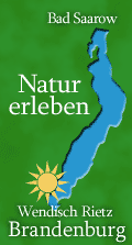 Naturreise, Badeurlaub, Angelurlaub - Reiseziel Scharmützelsee!
